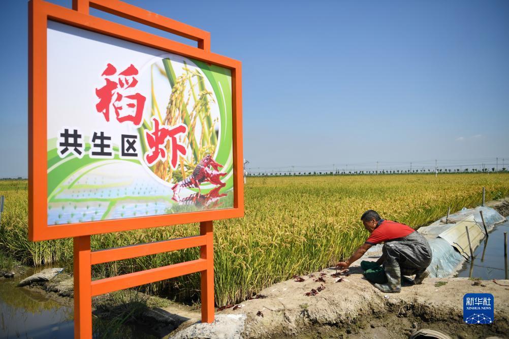 太阳城游戏官网网址